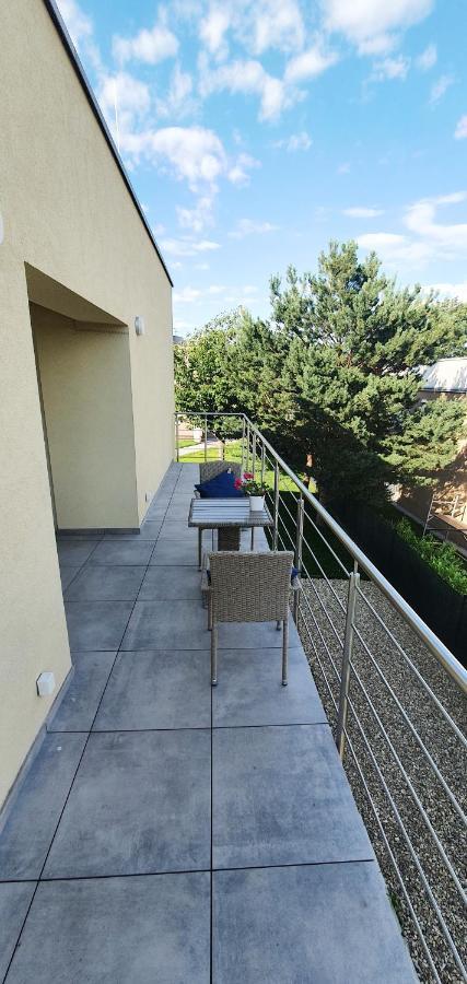 Palavske Domky Apartment Pasohlávky Екстериор снимка