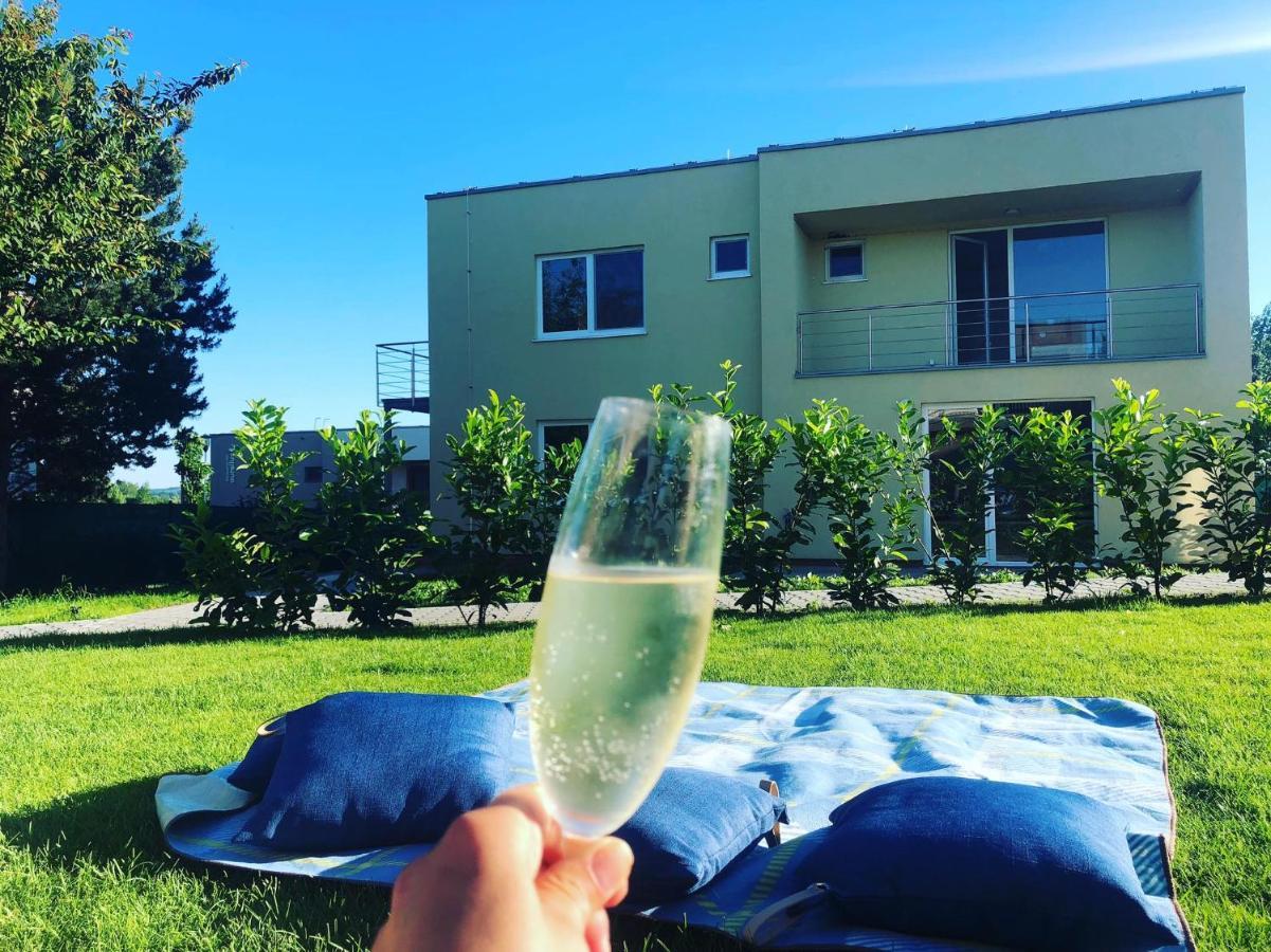 Palavske Domky Apartment Pasohlávky Екстериор снимка