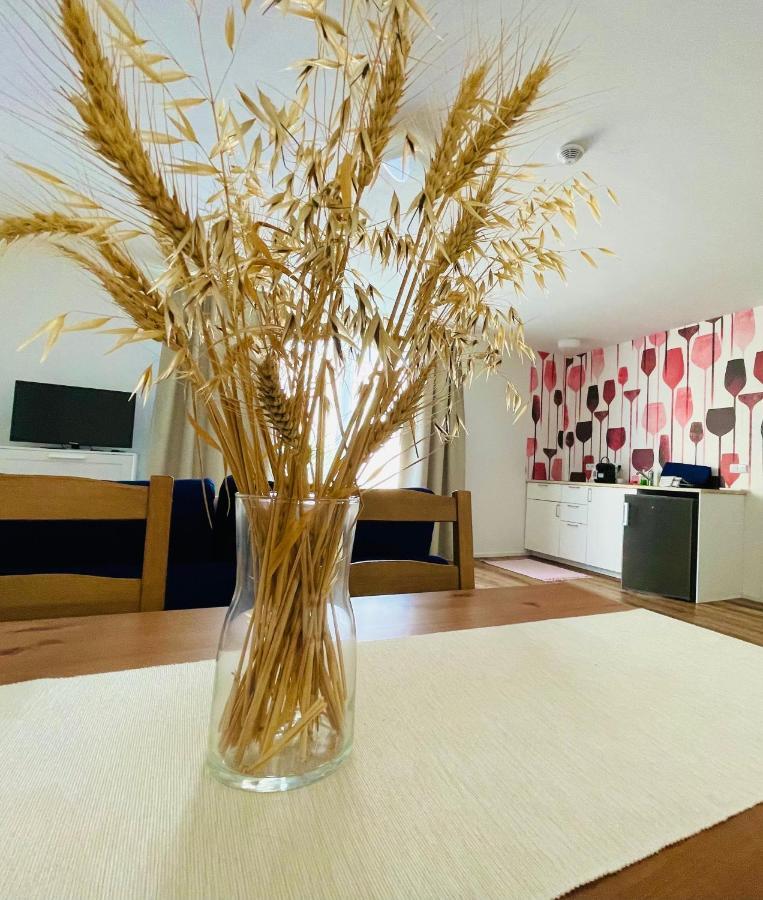 Palavske Domky Apartment Pasohlávky Екстериор снимка