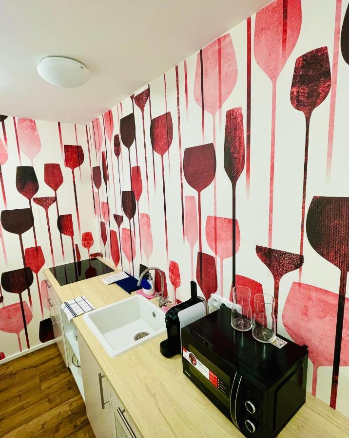 Palavske Domky Apartment Pasohlávky Екстериор снимка