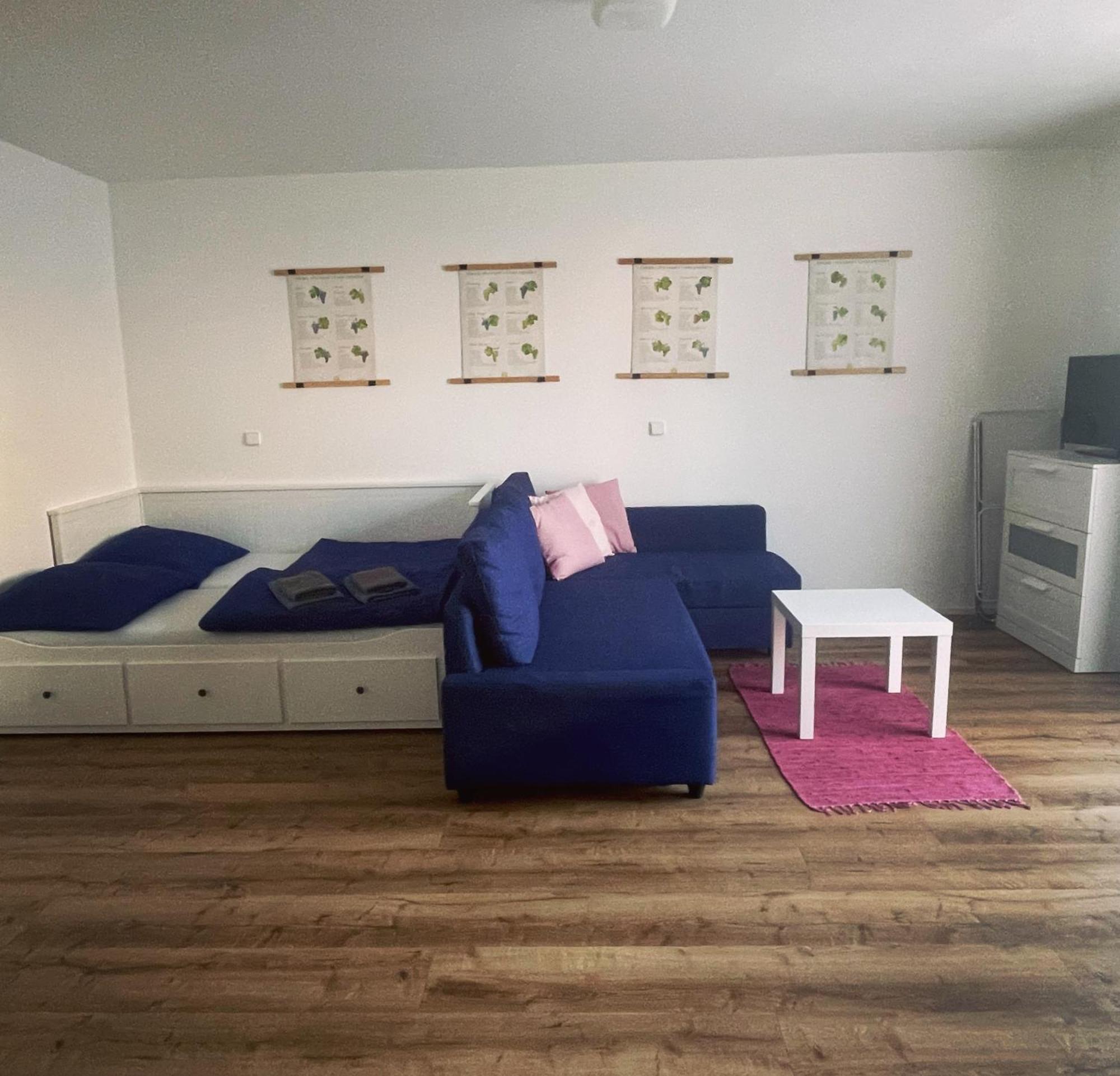 Palavske Domky Apartment Pasohlávky Екстериор снимка